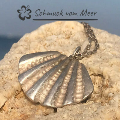 Halskette Muschel silberner Kettenanhänger mit Atlantikmuschel