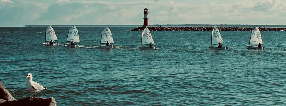 Optimistenkette in Warnemünde mit Möwe li im Vordergrund